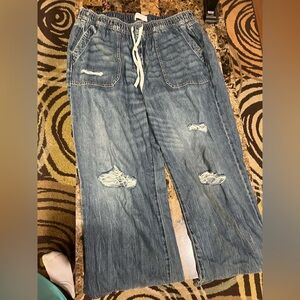 Lane Bryant Pull on Wide leg jeans